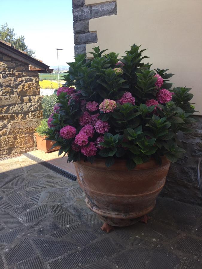 Agriturismo Borgo Tra Gli Olivi Castiglion Fiorentino Exterior photo